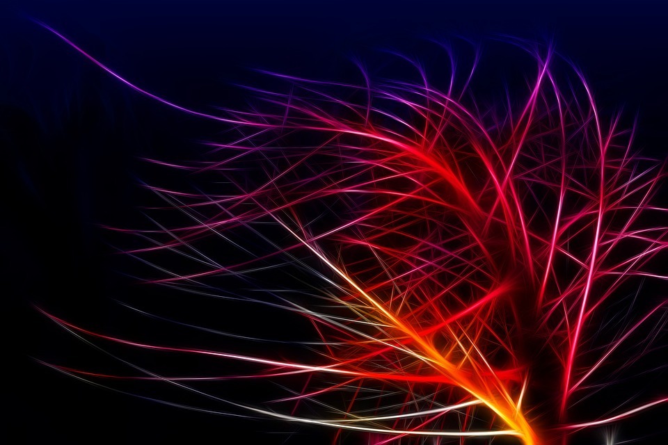 The rise of the internet brand marketer