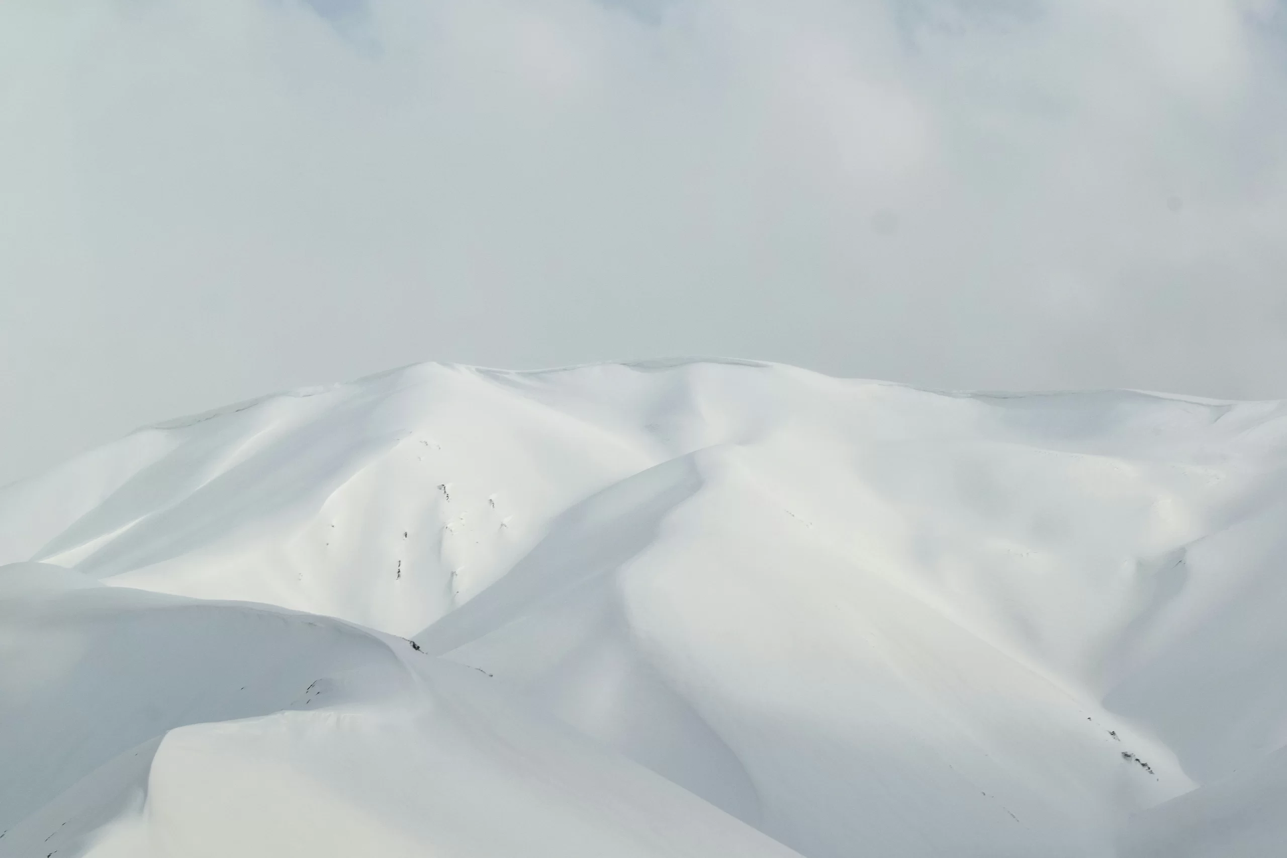 Tech and Internet Candidate Moves: Winter 2021